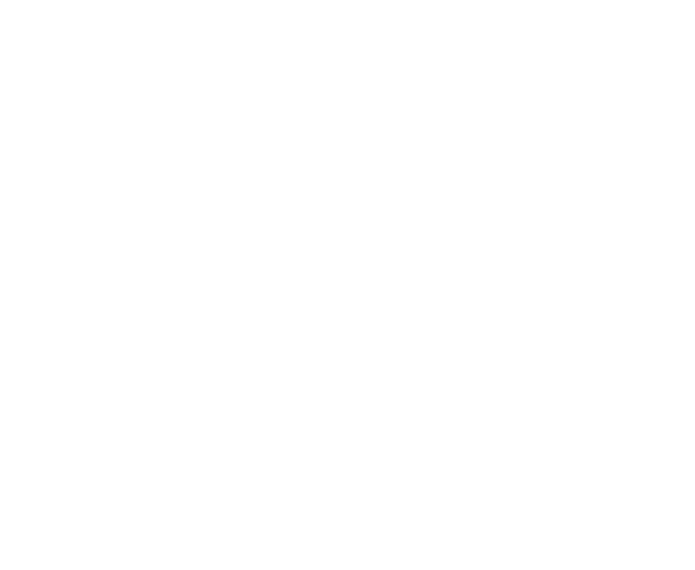 Rectangle 29